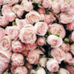 Meet your Posher, Awilda